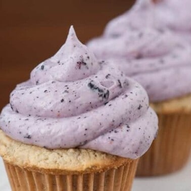 Add freeze dried blueberries to an already delicious cream cheese frosting & create a tasty Blueberry Cream Cheese Frosting perfect for any kind of cake.