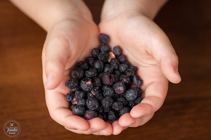 hands holding freeze dried blueberries