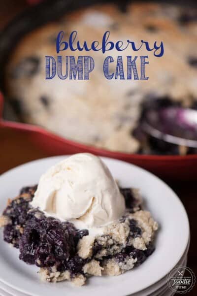 Easy Blueberry Dump Cake - Self Proclaimed Foodie