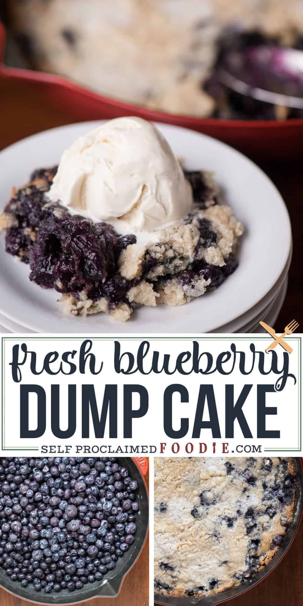 Easy Blueberry Dump Cake - Self Proclaimed Foodie