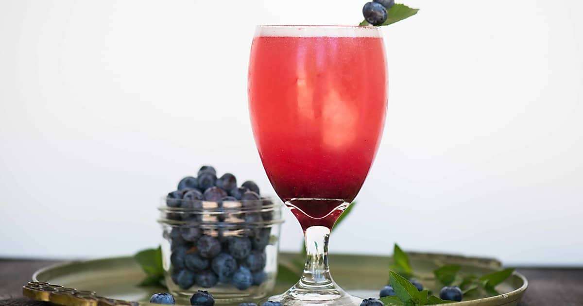 Blueberry Mint Cocktail Self Proclaimed Foodie