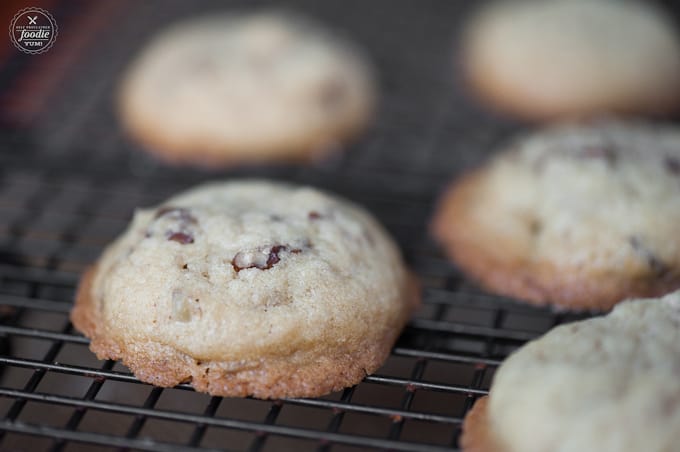 A close up of a brown sugar pecan cookie