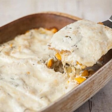 Creamy Butternut Squash Lasagna, with a white Béchamel sauce, is a delicious fall dinner as well as a perfect vegetarian Thanksgiving main dish.