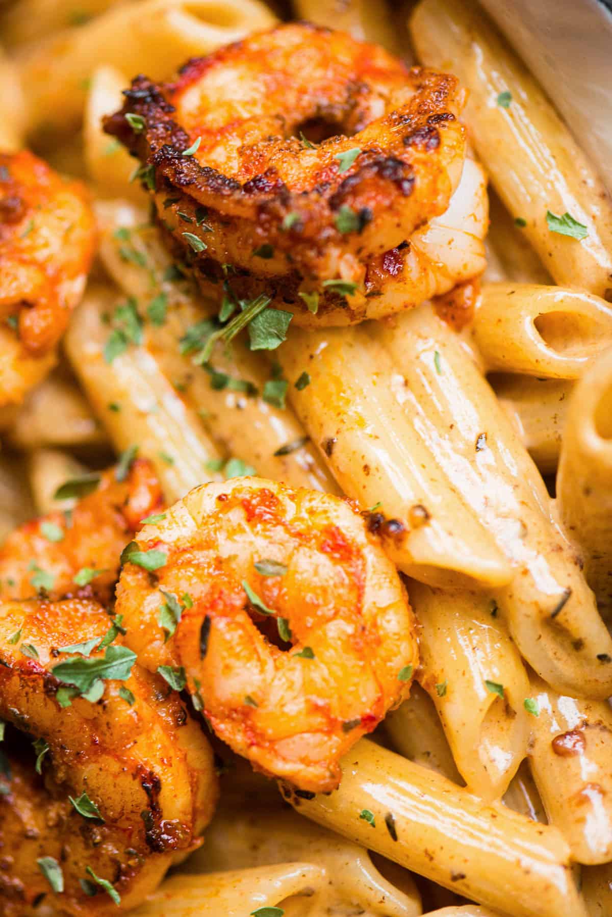 close up of cajun shrimp pasta with cream sauce