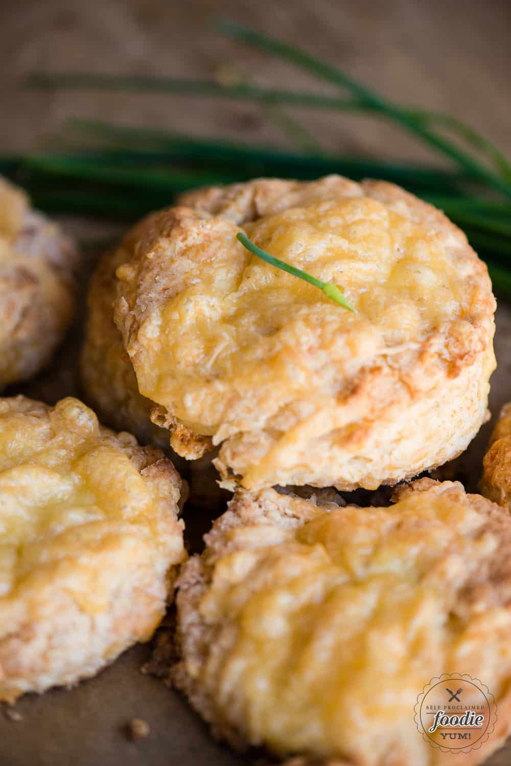 cheddar biscuits