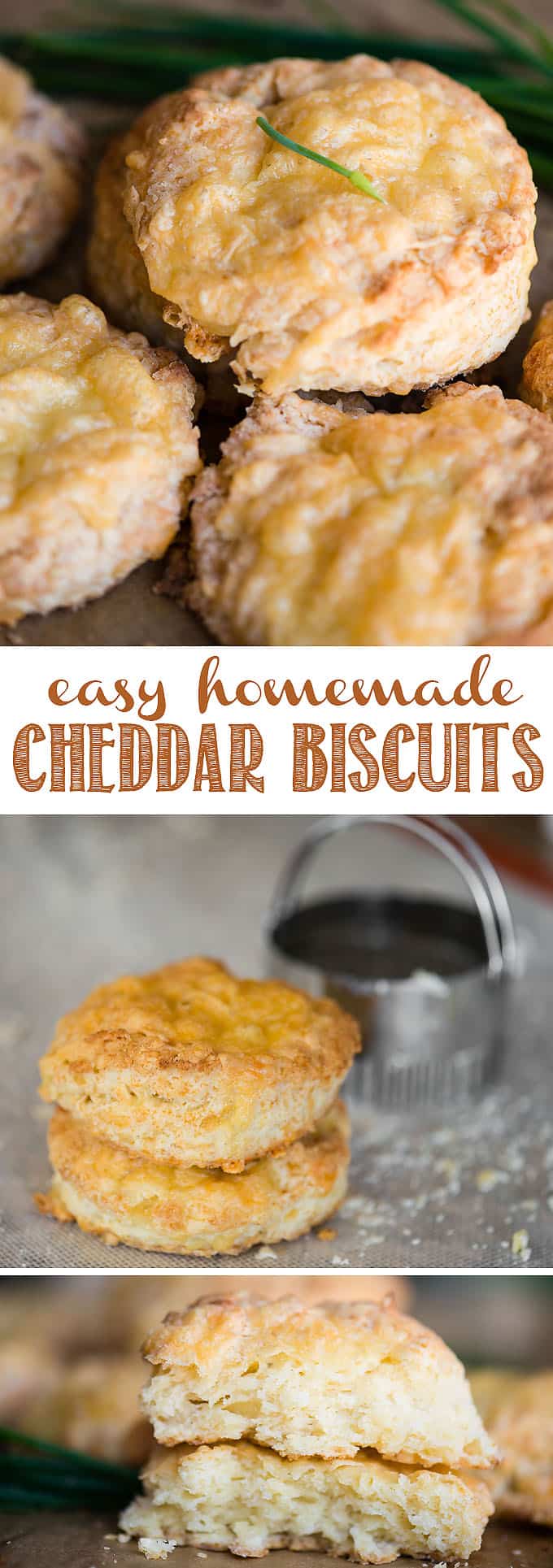 Cheddar Biscuits are easy to make, take just a few ingredients and a small amount of time, and result in a flaky savory drop biscuit that's perfect with breakfast, lunch, or dinner. These cheesy biscuits use heavy cream and sharp cheddar cheese to hold them together. They are so soft and delicious! #biscuits #biscuit #cheddar #cheddarbiscuit #cheesebiscuit #homemade