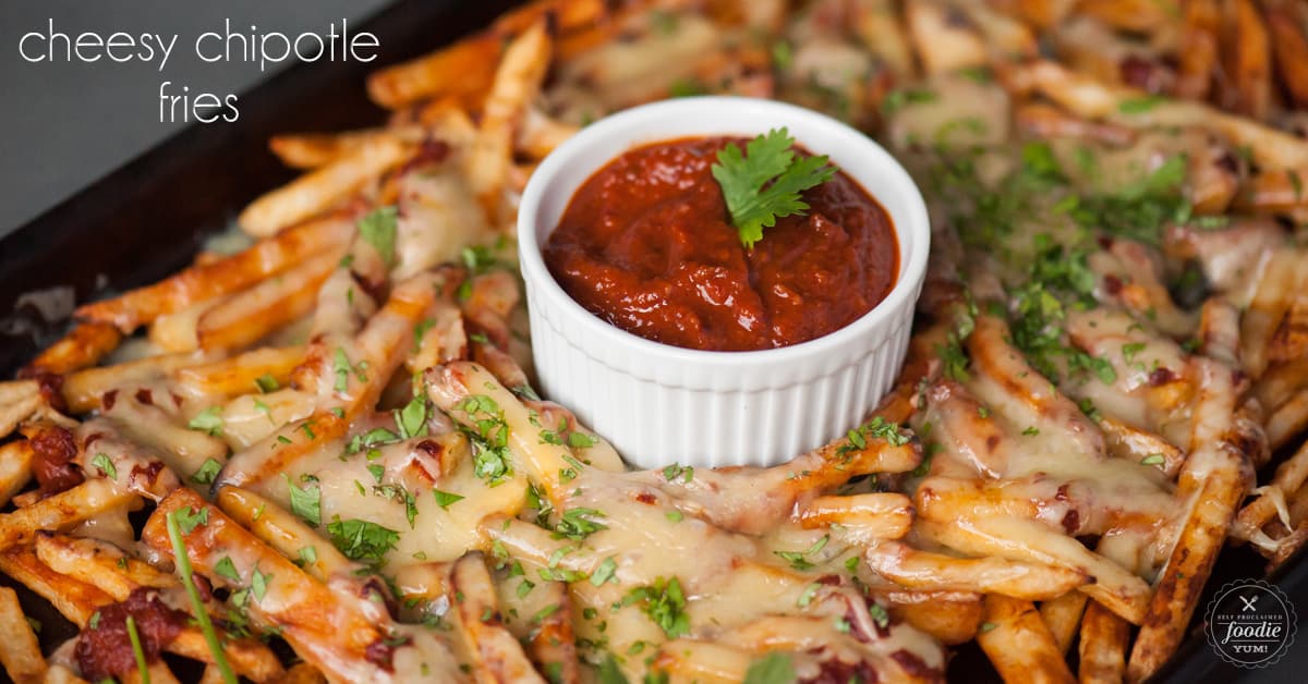 Cheesy Chipotle Fries Self Proclaimed Foodie