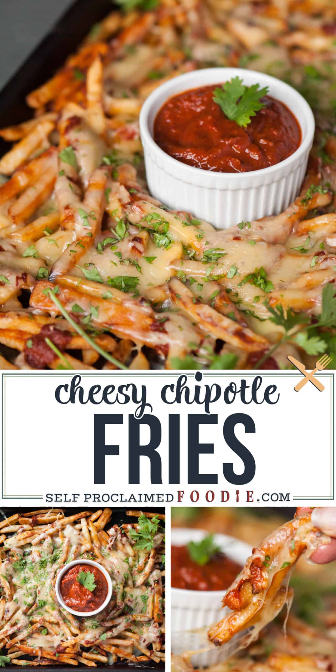 Cheesy Chipotle Fries Self Proclaimed Foodie