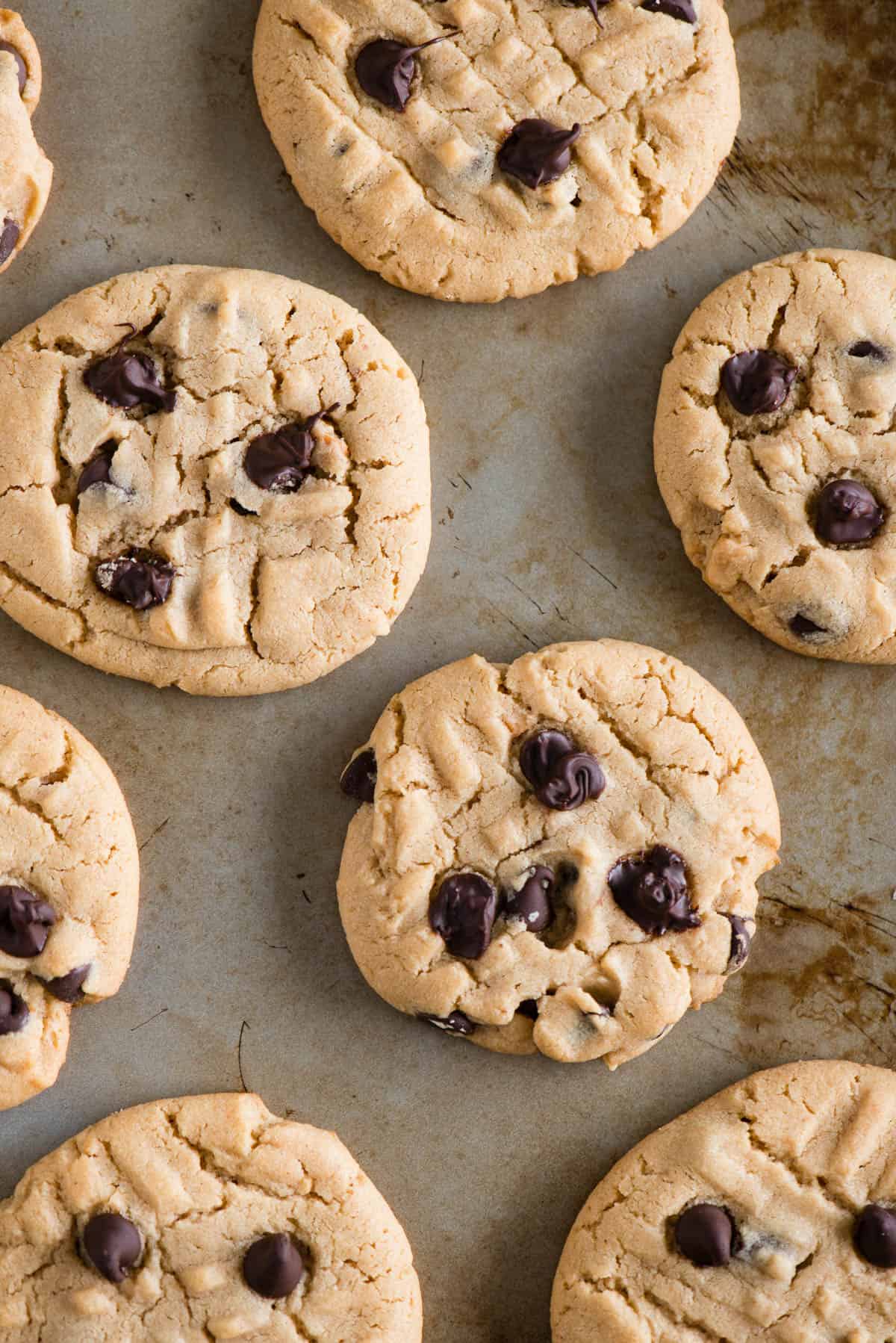 https://selfproclaimedfoodie.com/wp-content/uploads/chocolate-chip-peanut-butter-cookies-1.jpg
