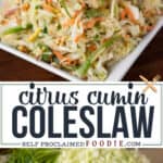 coleslaw recipe made with homemade creamy vegan citrus vinaigrette