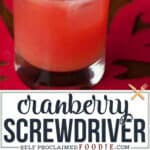 cranberry vodka screwdriver recipe