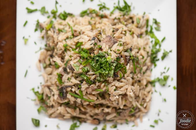 looking down at a plate of mushroom orzo