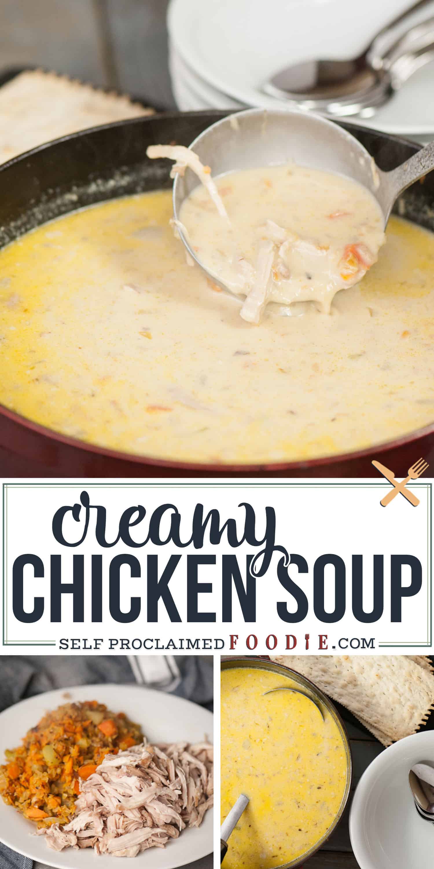 Creamy Chicken Soup Recipe | Self Proclaimed Foodie
