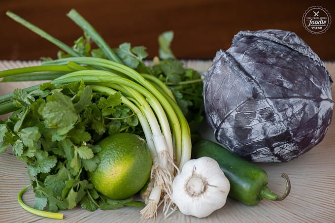 cilantro, lime, green onions, garlic, jalapeno, and purple cabbage