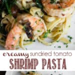 Creamy Sundried Tomato Shrimp with fettuccine alfredo Pasta Recipe