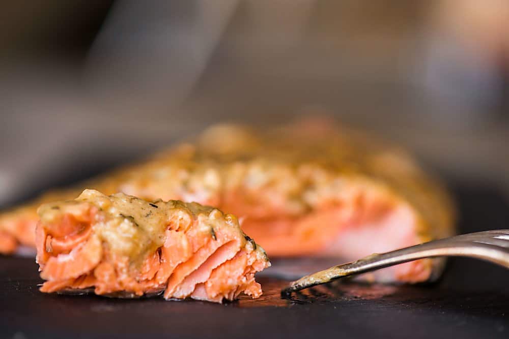 a bite of dijon salmon