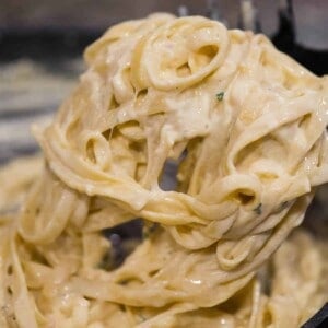 homemade pasta with alfredo sauce.