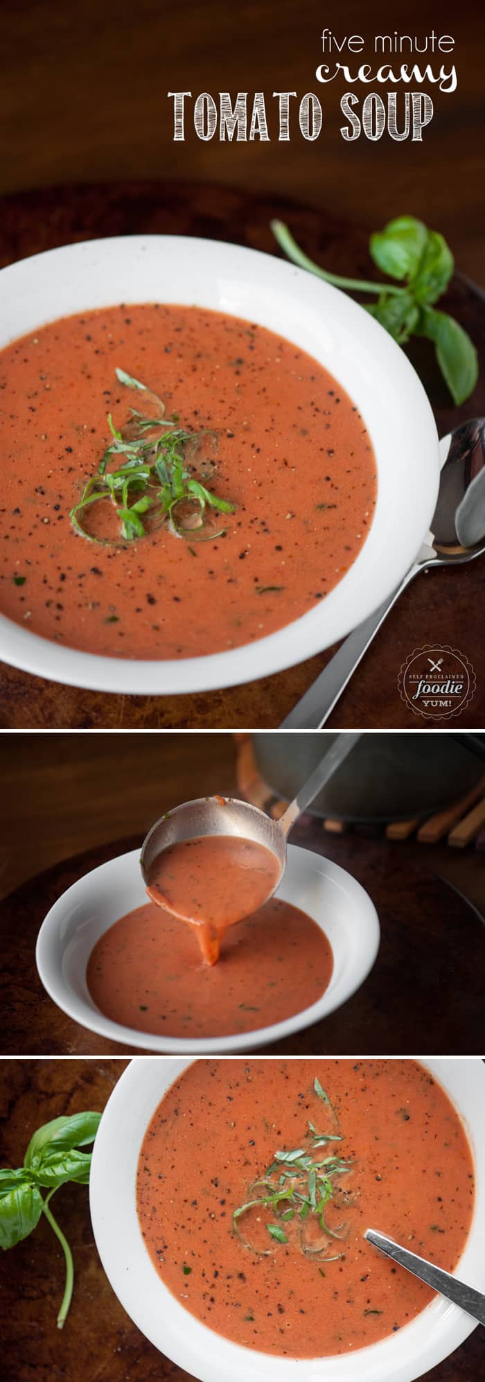 Five Minute Cream of Tomato Soup Self Proclaimed Foodie