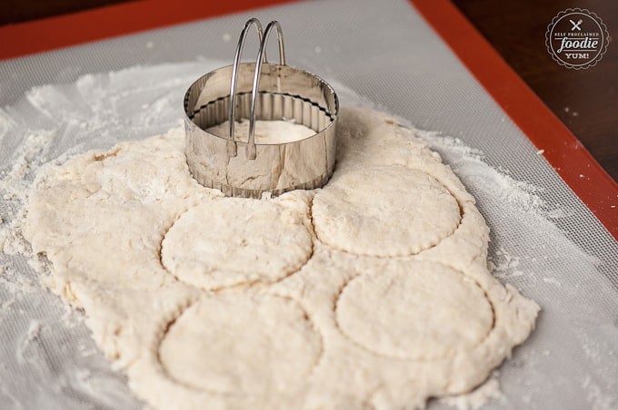 making homemade biscuits and cutting them out with biscuit cutter