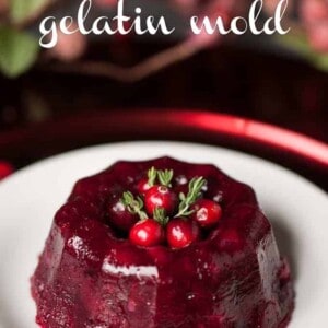 fresh cranberry gelatin mold