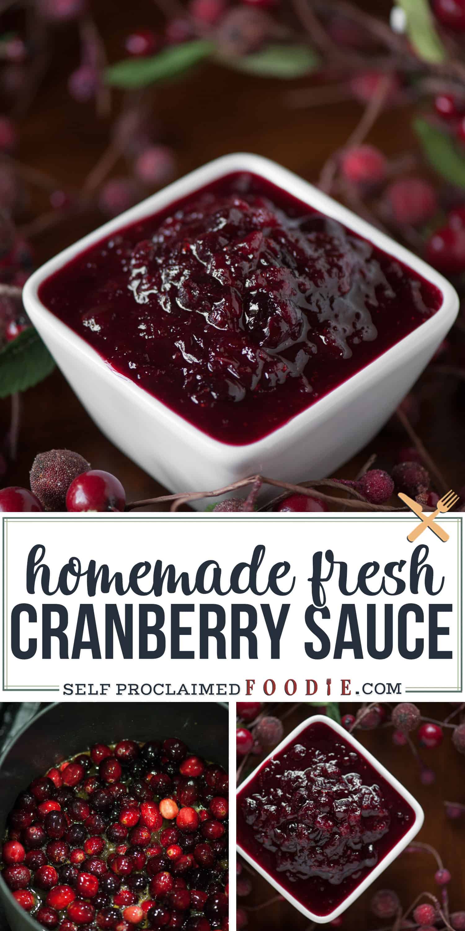 Fresh Homemade Cranberry Sauce Recipe Self Proclaimed Foodie