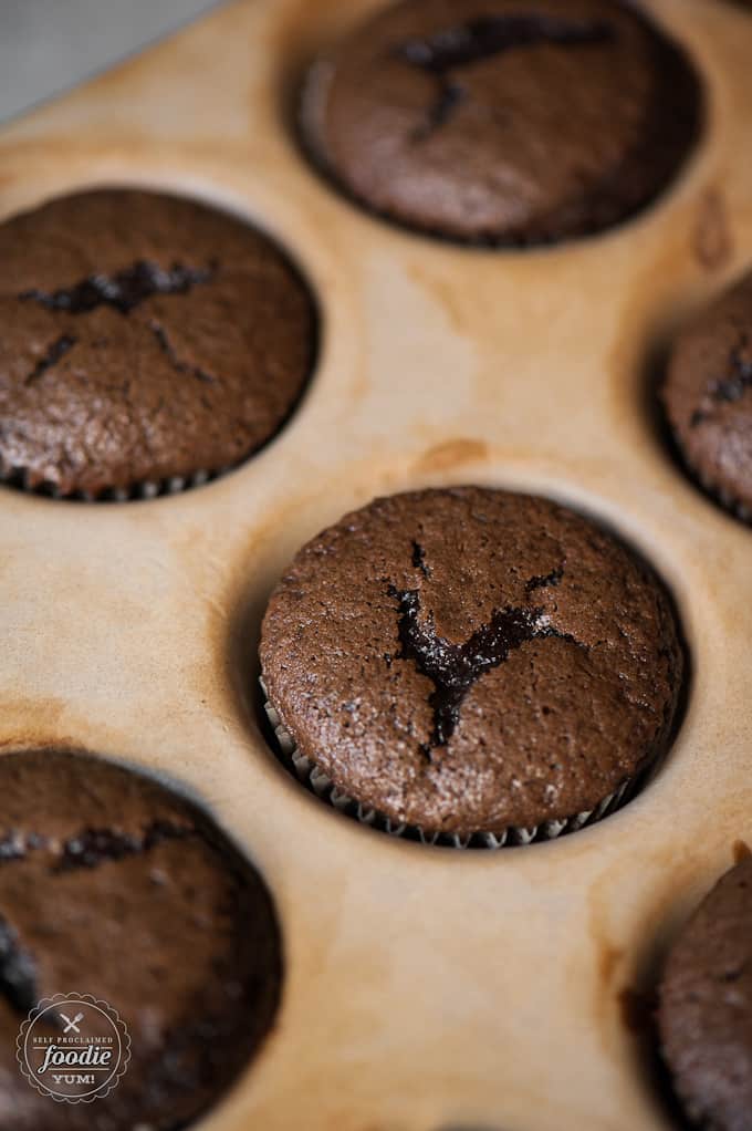 Chocolate Cupcakes in muffin pan