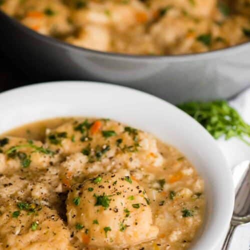 Homemade Chicken and Dumplings - Self Proclaimed Foodie