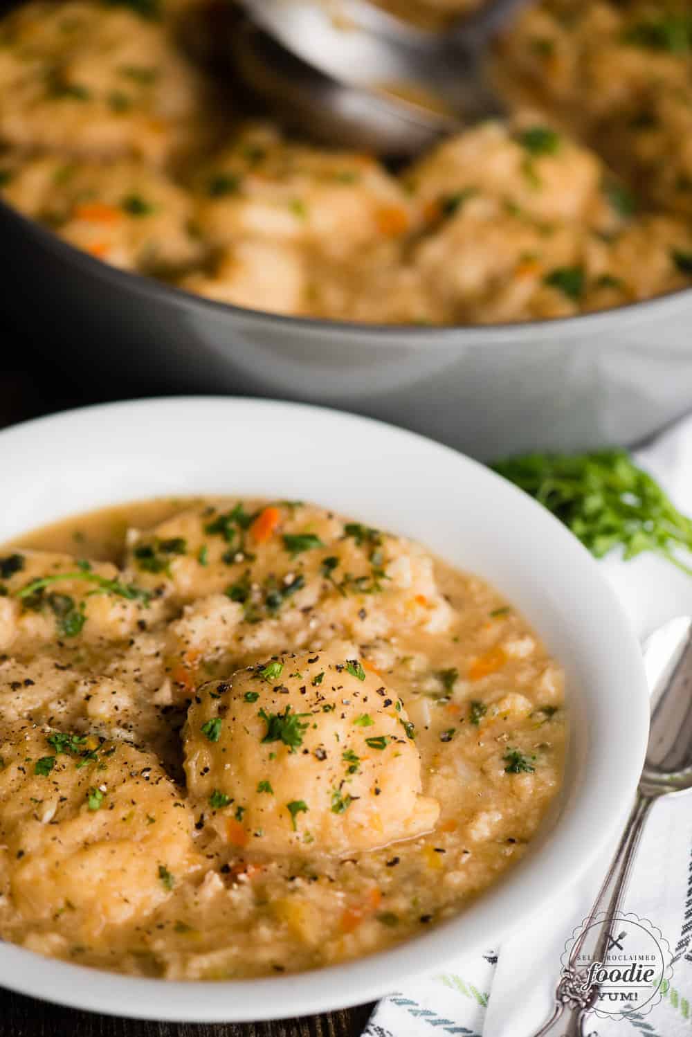 Homemade Chicken and Dumplings - Self Proclaimed Foodie