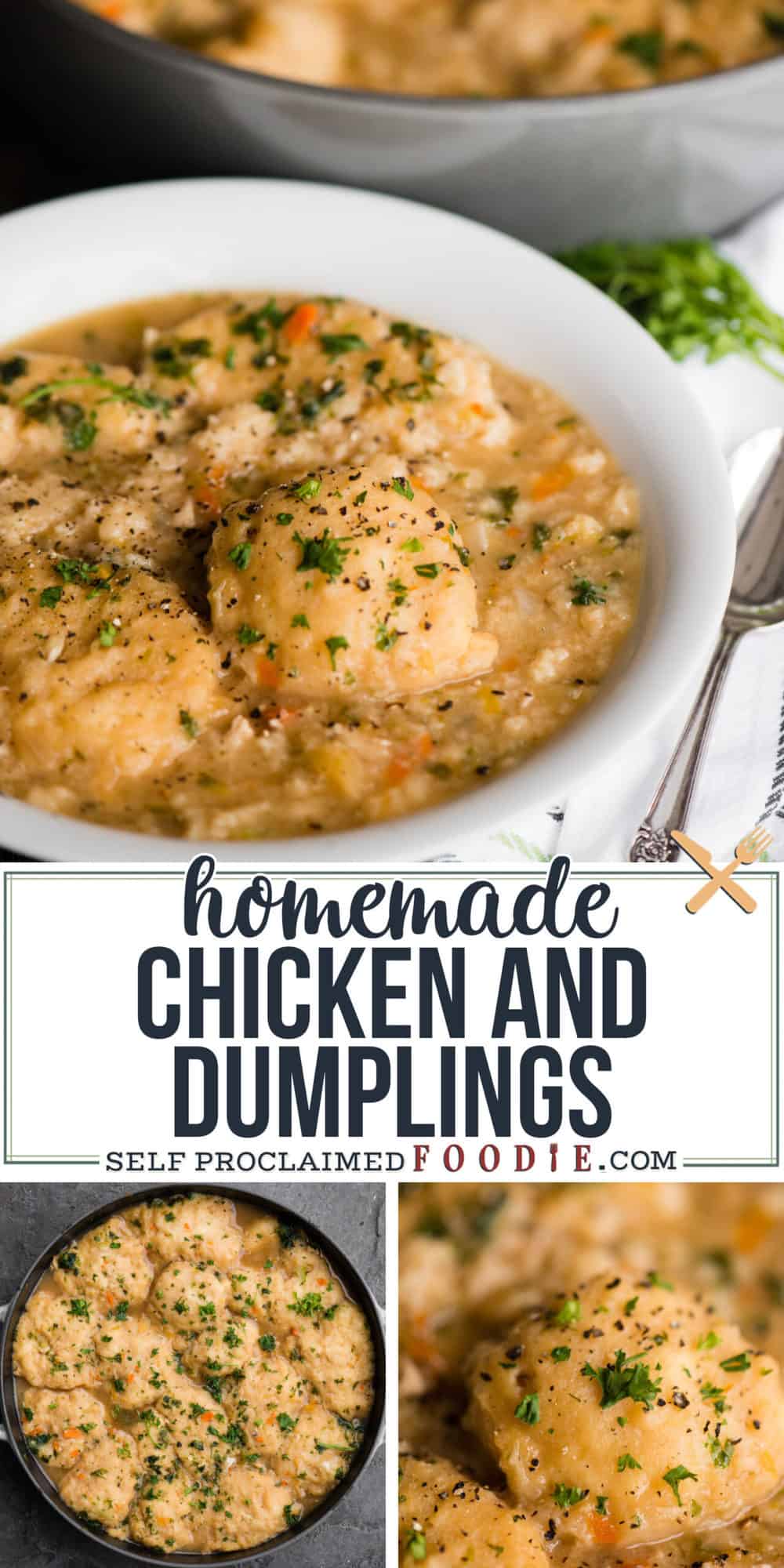 Homemade Chicken and Dumplings - Self Proclaimed Foodie