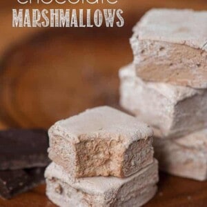 A close up of a homemade chocolate marshmellow