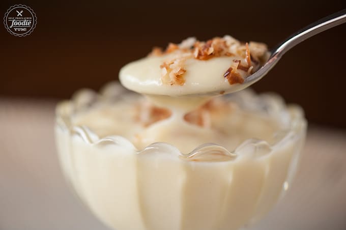 spoonful of dairy free coconut pudding