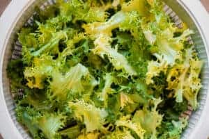 curly endive for italian wedding soup