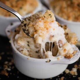 spoonful of baked macaroni and cheese with lobster