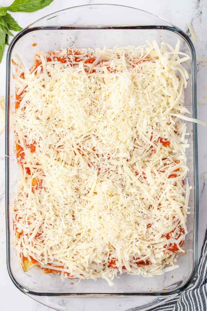 manicotti before going into oven