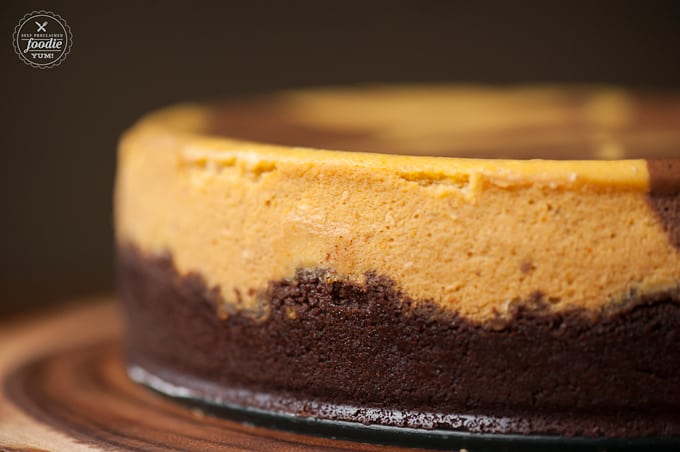 chocolate pumpkin cheesecake