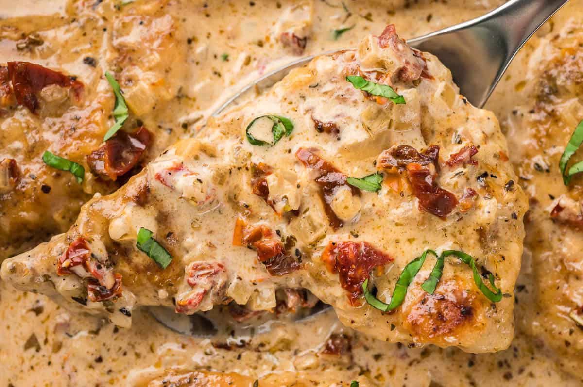 one piece of chicken breast with sundried tomatoes and cream sauce.