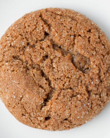 one Molasses Cookie on white plate