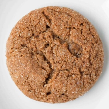 one Molasses Cookie on white plate