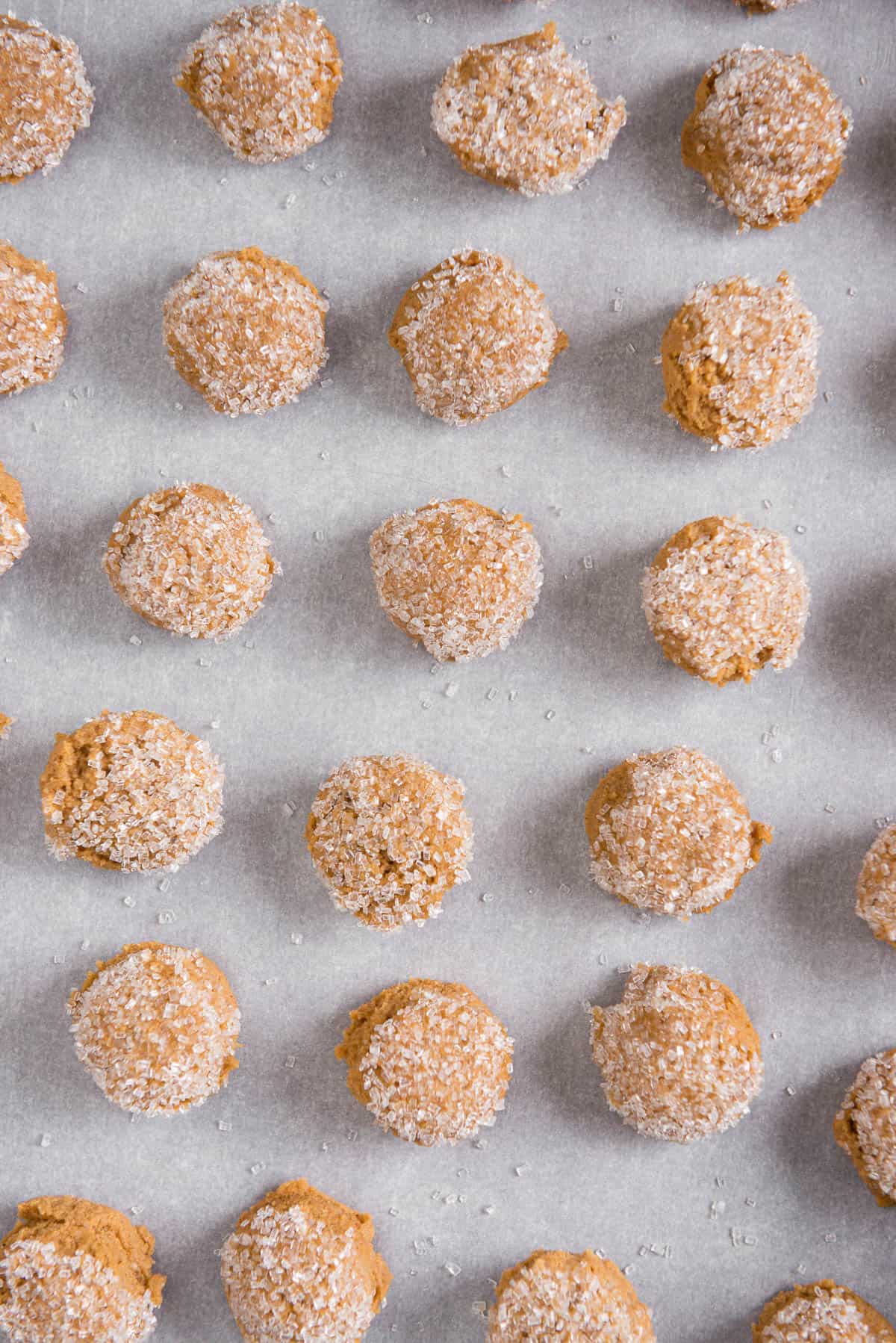 prepared ginger molasses cookie dough