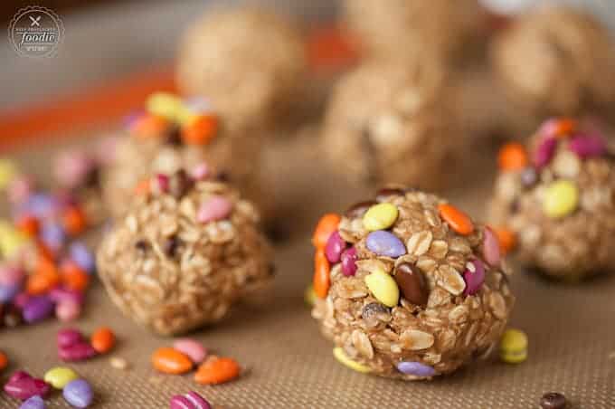 A close up of Chocolate Sunflower Oat Balls