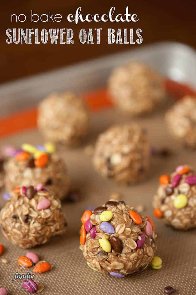 sunflower oat balls with chocolate