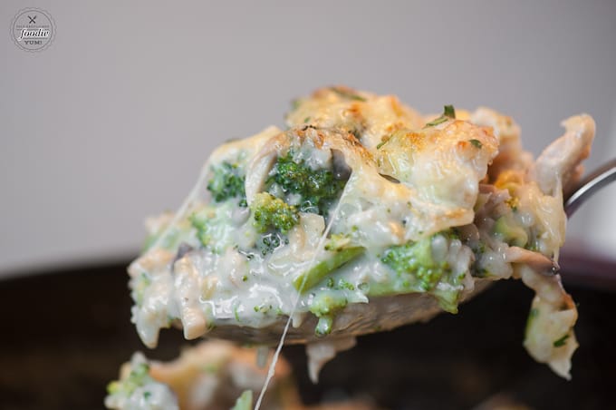 a cheesy bite of chicken broccoli rice casserole