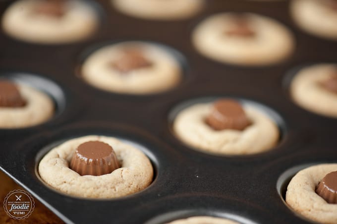 Spider Cookies