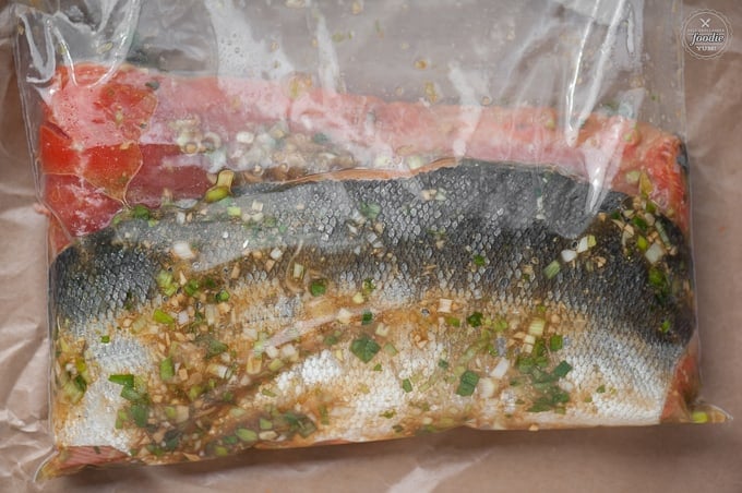 a whole salmon in a bag