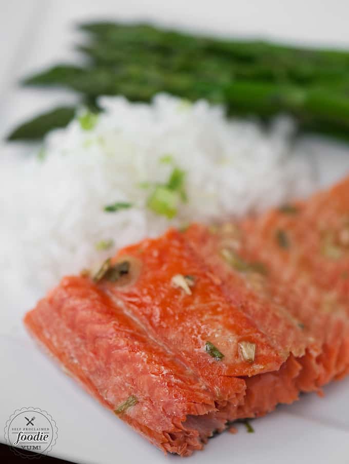 A close up of salmon and rice on a plate