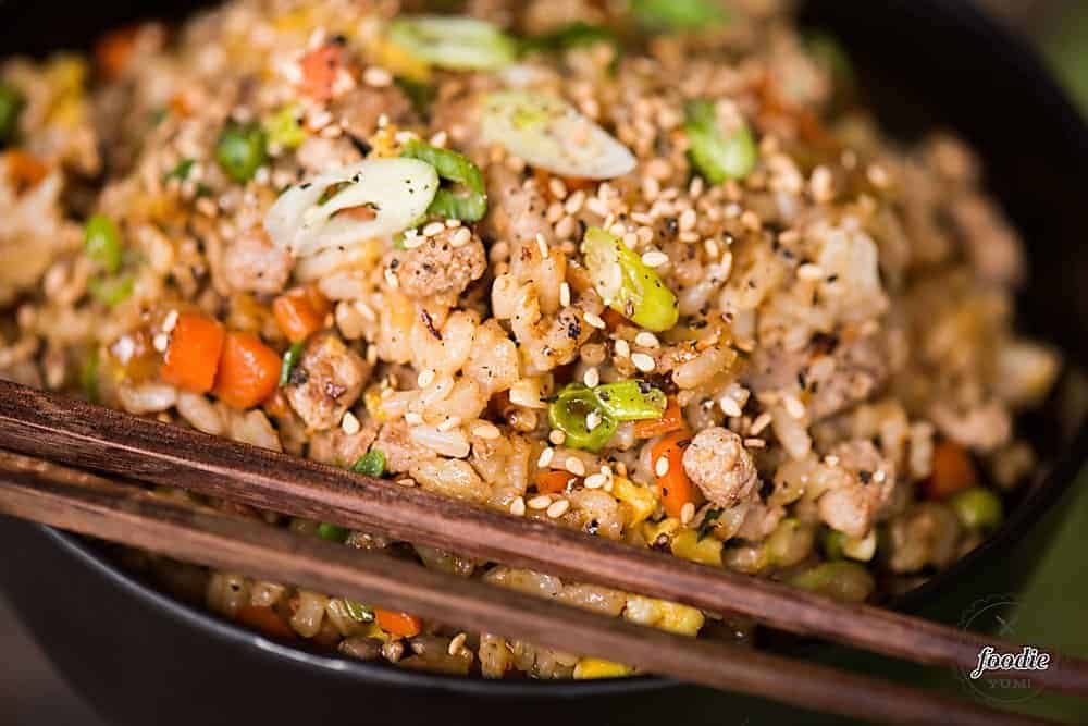 Pork Fried Rice - Dinner at the Zoo