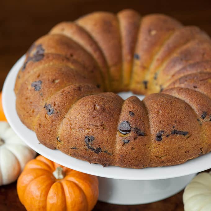 pumpkin chocolate chip bundt cake on a platter