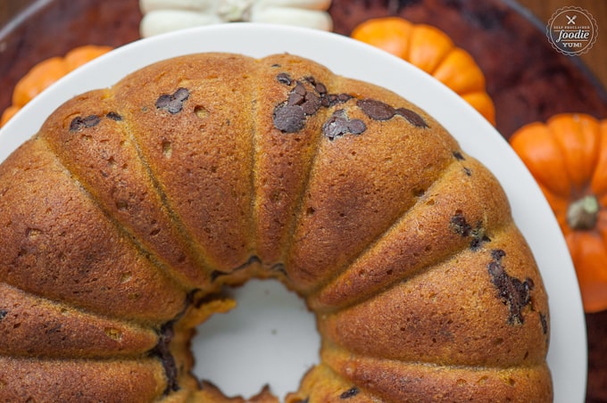 a close up of pumpkin chocolate chip bundt cake