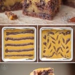 Pumpkin Swirl Brownies, homemade from scratch with chocolate chips, are moist, incredibly delicious, and possibly the best fall dessert I've ever had!
