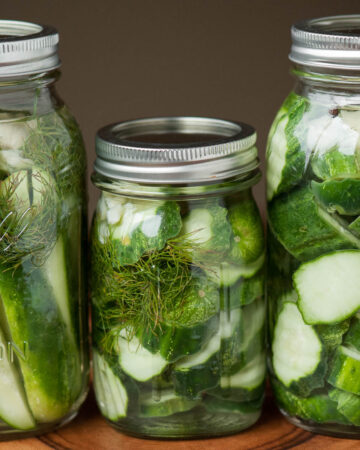 mason jars with freshly made refrigerator dill pickles